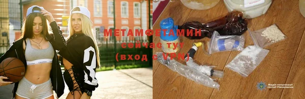 прущие грибы Приозерск