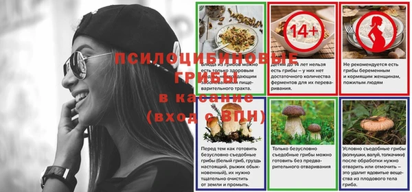 стаф Протвино