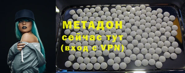 прущие грибы Приозерск
