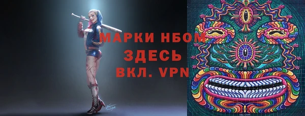 прущие грибы Приозерск