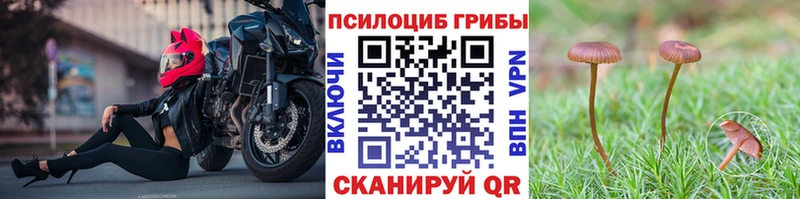 omg зеркало  Тетюши  Псилоцибиновые грибы Psilocybine cubensis 